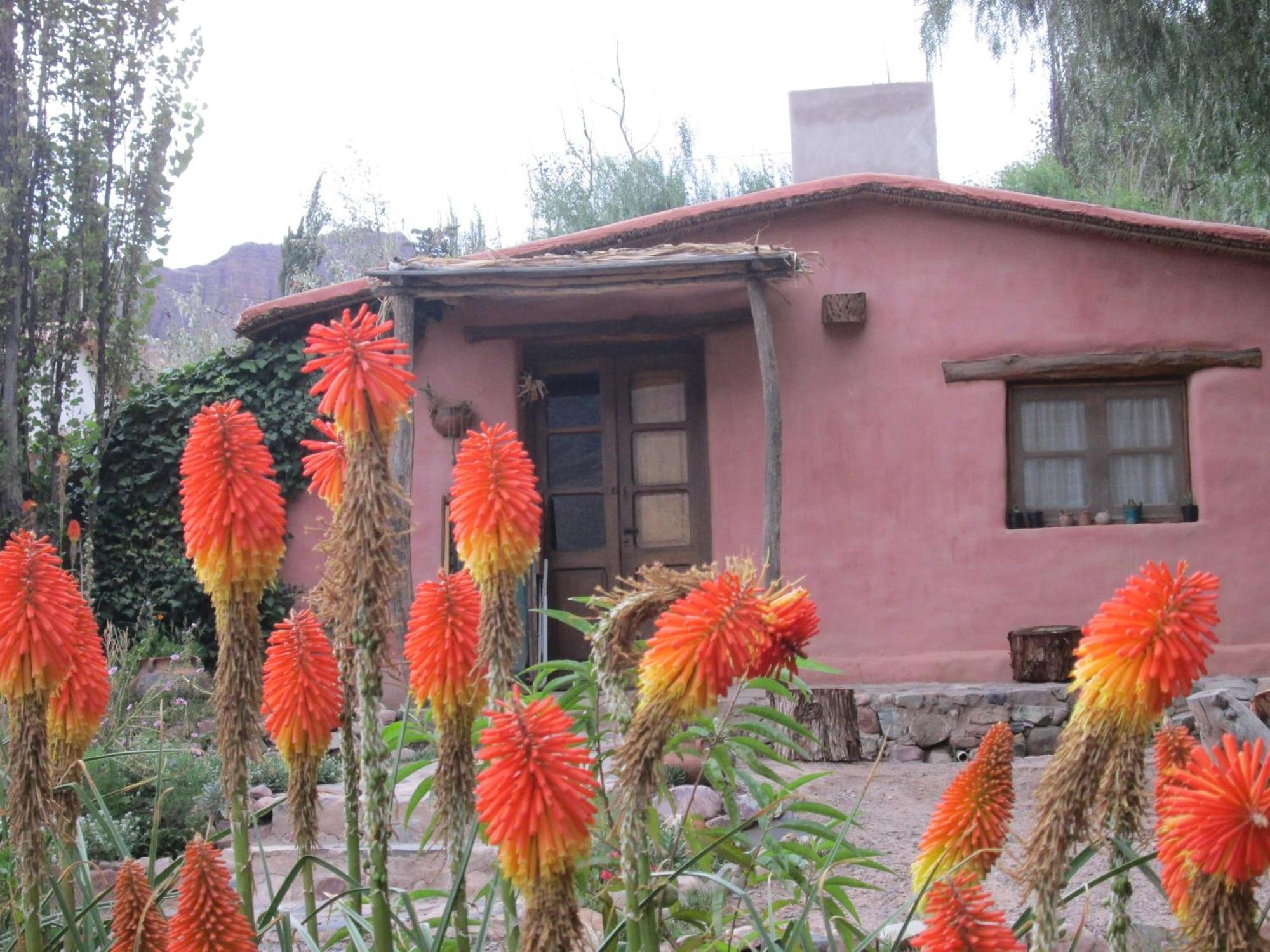 Lodge La Calabaza Cabana *