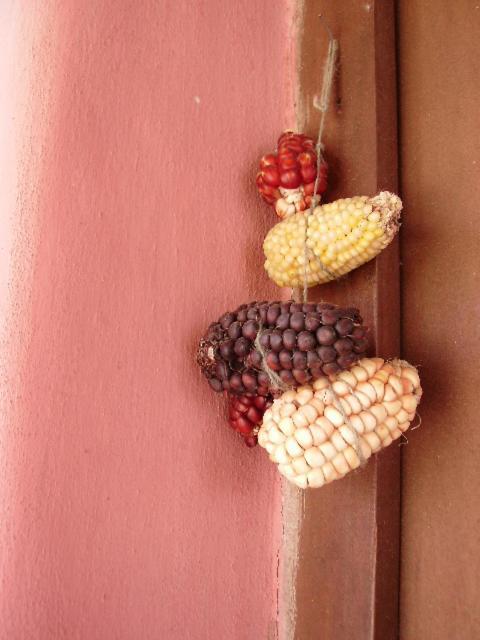 La Calabaza Cabana Lodge *