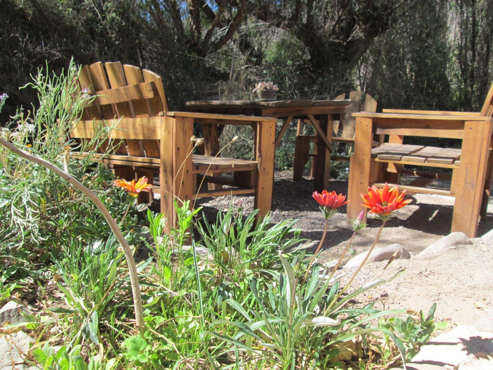 Lodge La Calabaza Cabana