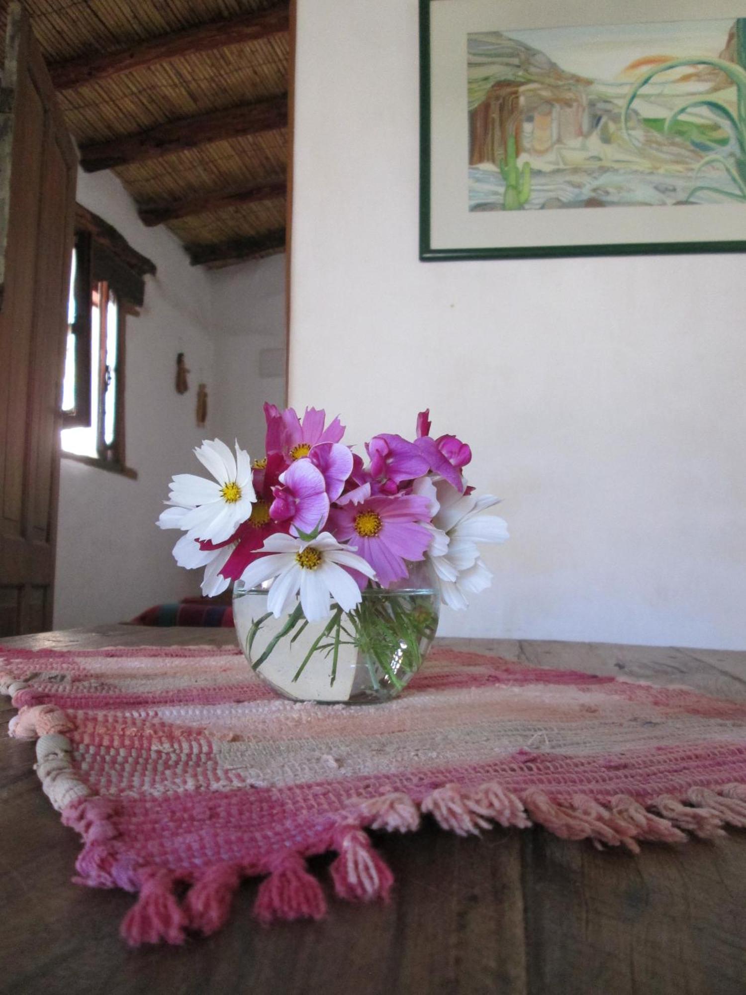 Lodge La Calabaza Cabana *